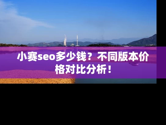 小赛seo多少钱？不同版本价格对比分析！