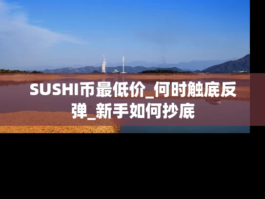 SUSHI币最低价_何时触底反弹_新手如何抄底