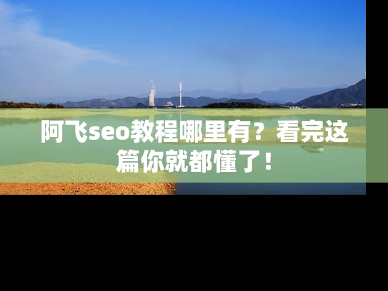 阿飞seo教程哪里有？看完这篇你就都懂了！