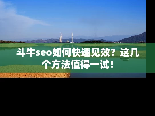 斗牛seo如何快速见效？这几个方法值得一试！
