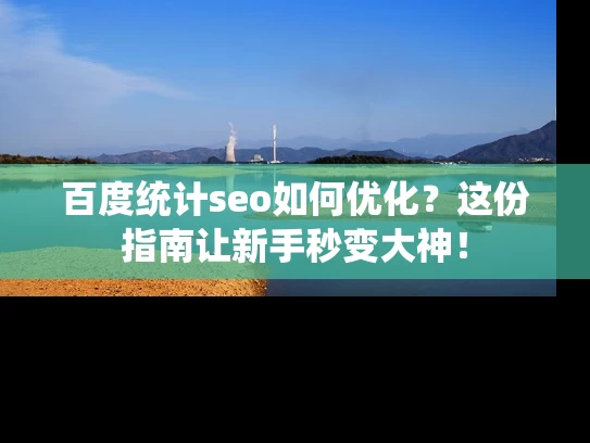 百度统计seo如何优化？这份指南让新手秒变大神！