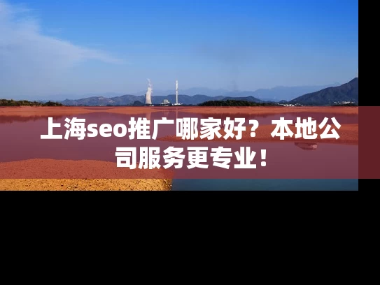 上海seo推广哪家好？本地公司服务更专业！