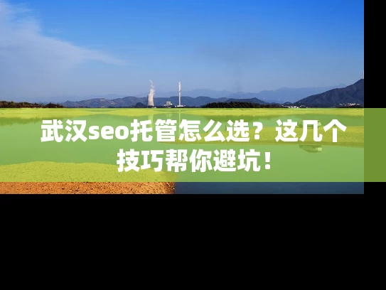 武汉seo托管怎么选？这几个技巧帮你避坑！