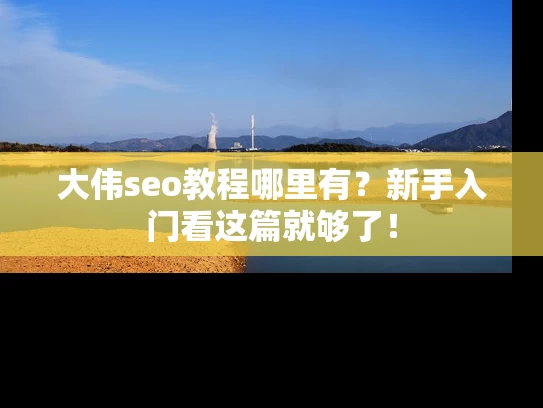 大伟seo教程哪里有？新手入门看这篇就够了！