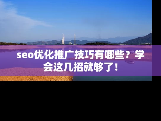 seo优化推广技巧有哪些？学会这几招就够了！