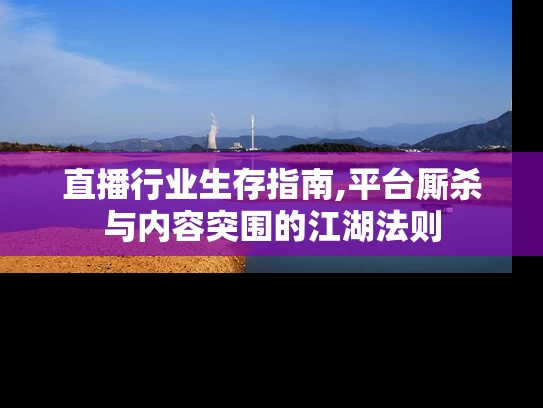 直播行业生存指南,平台厮杀与内容突围的江湖法则