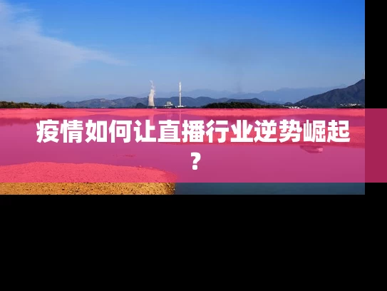 疫情如何让直播行业逆势崛起？