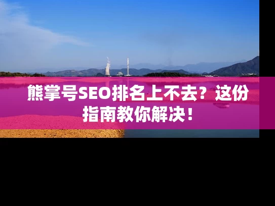 熊掌号SEO排名上不去？这份指南教你解决！