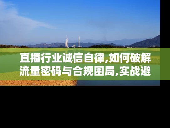 直播行业诚信自律,如何破解流量密码与合规困局,实战避坑指南来了