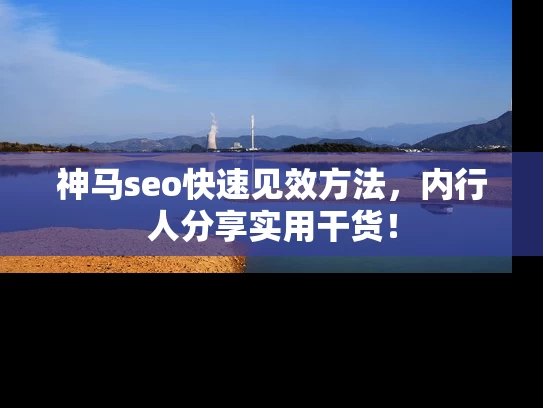 神马seo快速见效方法，内行人分享实用干货！