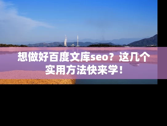 想做好百度文库seo？这几个实用方法快来学！