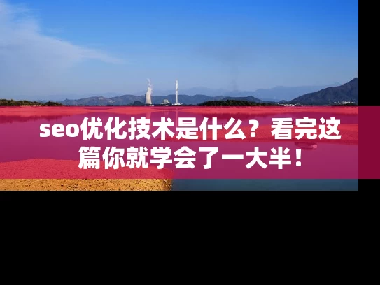 seo优化技术是什么？看完这篇你就学会了一大半！