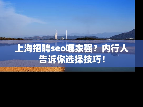 上海招聘seo哪家强？内行人告诉你选择技巧！