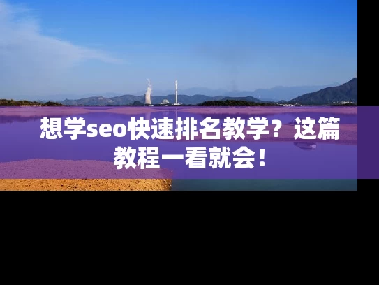 想学seo快速排名教学？这篇教程一看就会！