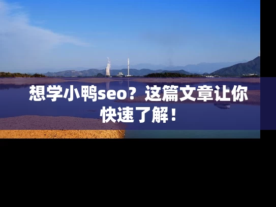 想学小鸭seo？这篇文章让你快速了解！