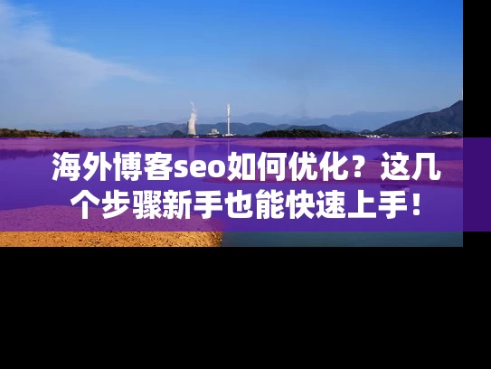 海外博客seo如何优化？这几个步骤新手也能快速上手！