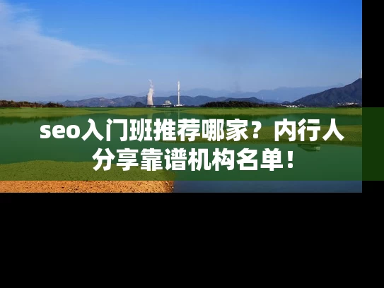 seo入门班推荐哪家？内行人分享靠谱机构名单！