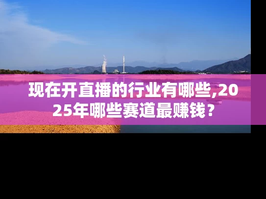 现在开直播的行业有哪些,2025年哪些赛道最赚钱？