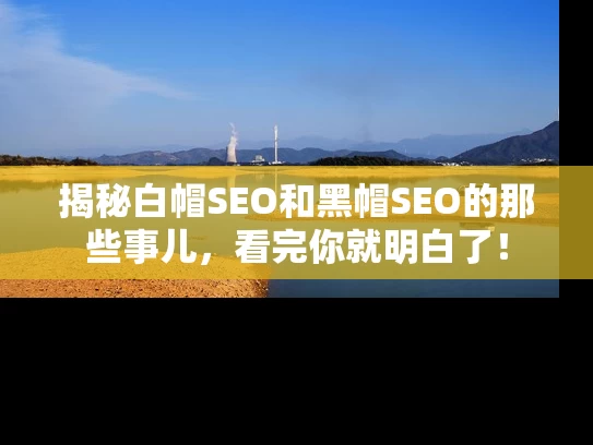 揭秘白帽SEO和黑帽SEO的那些事儿，看完你就明白了！
