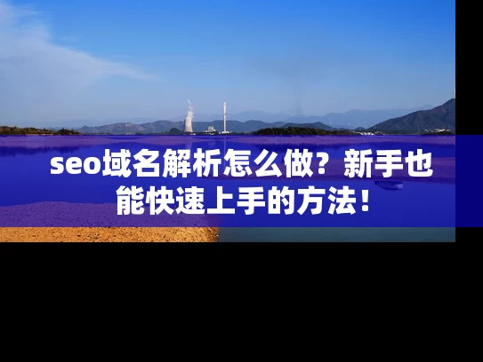 seo域名解析怎么做？新手也能快速上手的方法！