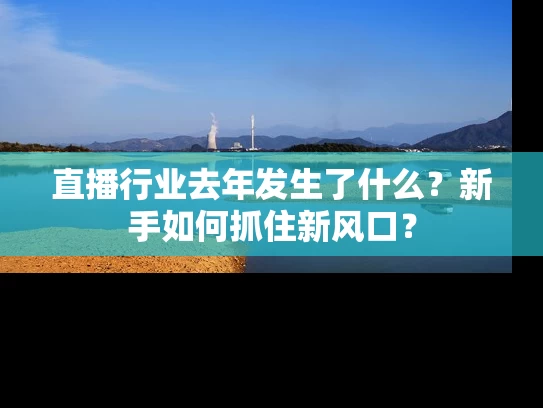 直播行业去年发生了什么？新手如何抓住新风口？