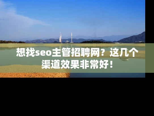 想找seo主管招聘网？这几个渠道效果非常好！