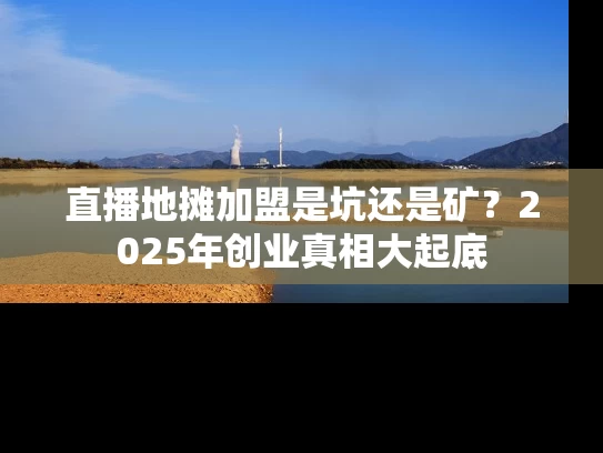 直播地摊加盟是坑还是矿？2025年创业真相大起底
