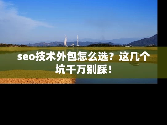 seo技术外包怎么选？这几个坑千万别踩！