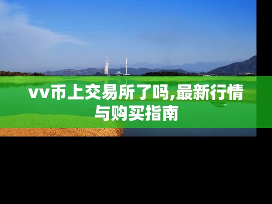 vv币上交易所了吗,最新行情与购买指南