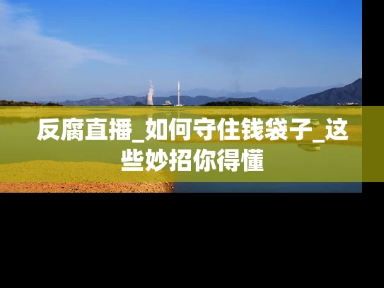 反腐直播_如何守住钱袋子_这些妙招你得懂