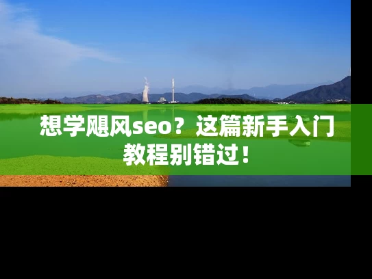 想学飓风seo？这篇新手入门教程别错过！
