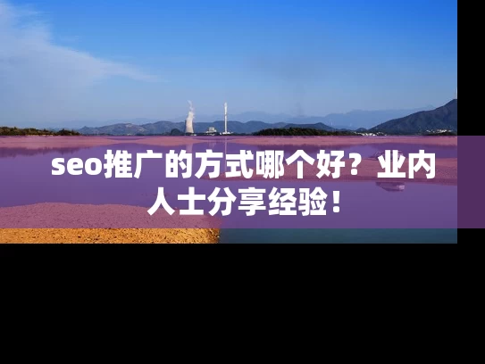 seo推广的方式哪个好？业内人士分享经验！