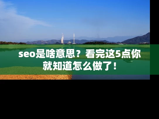 seo是啥意思？看完这5点你就知道怎么做了！