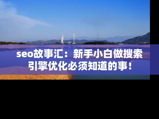 seo故事汇：新手小白做搜索引擎优化必须知道的事！