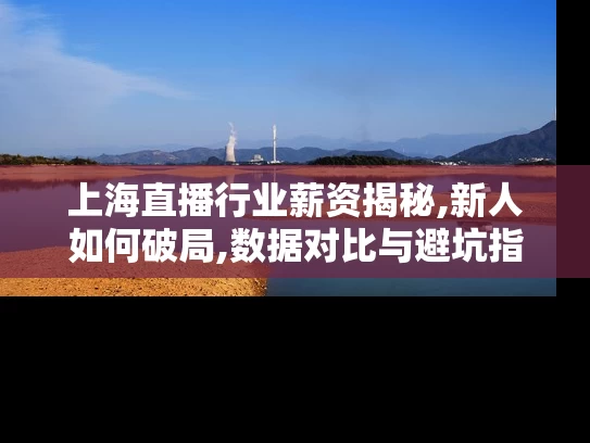 上海直播行业薪资揭秘,新人如何破局,数据对比与避坑指南