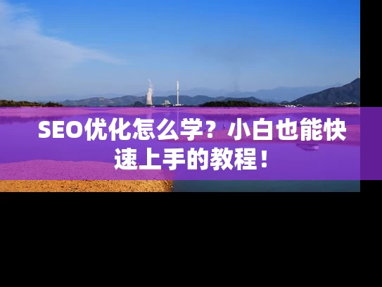 SEO优化怎么学？小白也能快速上手的教程！