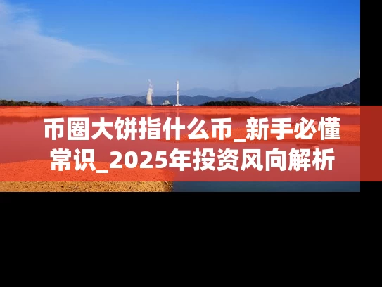 币圈大饼指什么币_新手必懂常识_2025年投资风向解析