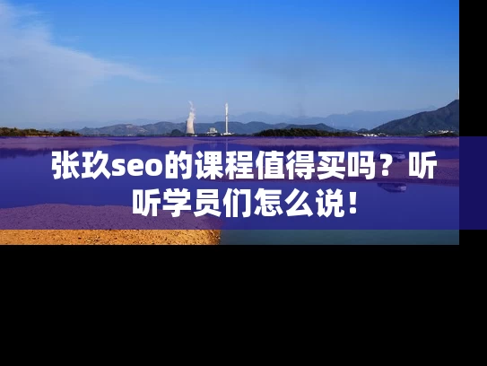 张玖seo的课程值得买吗？听听学员们怎么说！
