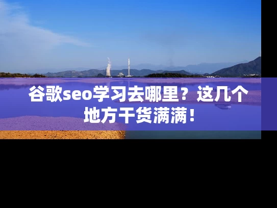 谷歌seo学习去哪里？这几个地方干货满满！