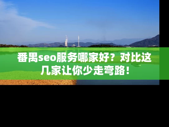 番禺seo服务哪家好？对比这几家让你少走弯路！