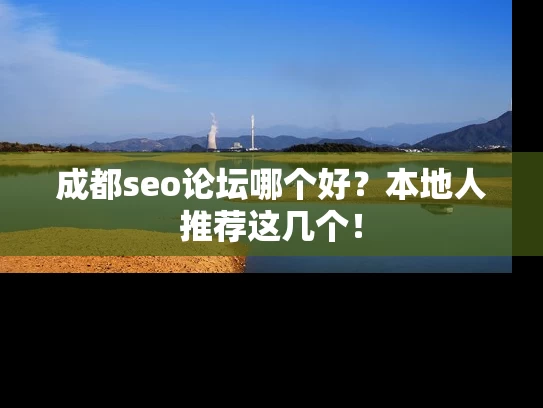 成都seo论坛哪个好？本地人推荐这几个！