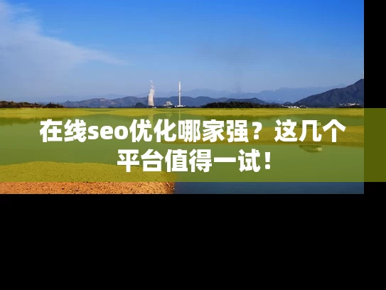 在线seo优化哪家强？这几个平台值得一试！
