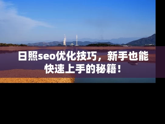 日照seo优化技巧，新手也能快速上手的秘籍！