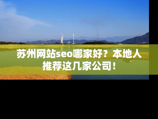 苏州网站seo哪家好？本地人推荐这几家公司！