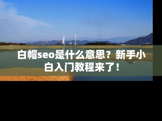 白帽seo是什么意思？新手小白入门教程来了！
