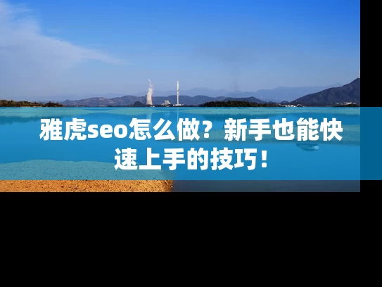 雅虎seo怎么做？新手也能快速上手的技巧！