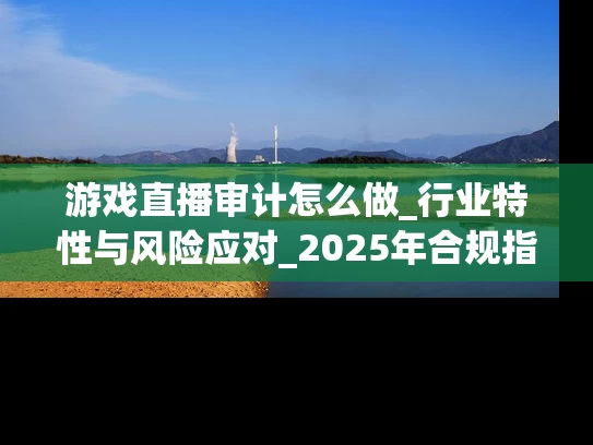 游戏直播审计怎么做_行业特性与风险应对_2025年合规指南