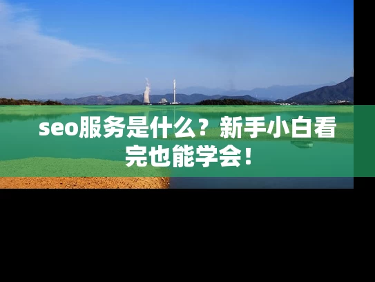 seo服务是什么？新手小白看完也能学会！