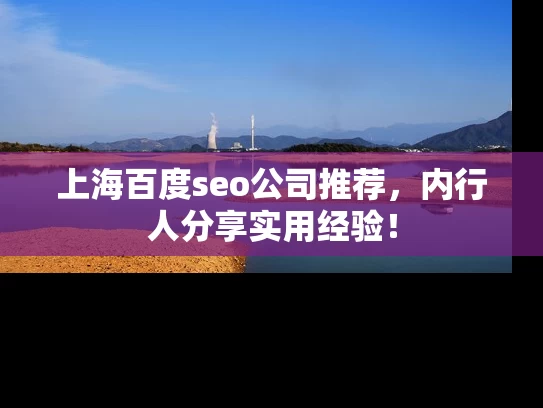 上海百度seo公司推荐，内行人分享实用经验！