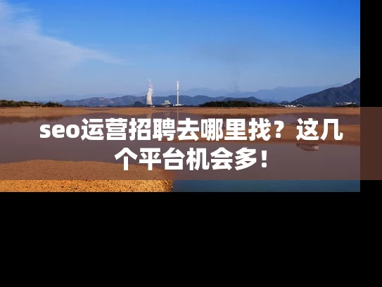seo运营招聘去哪里找？这几个平台机会多！